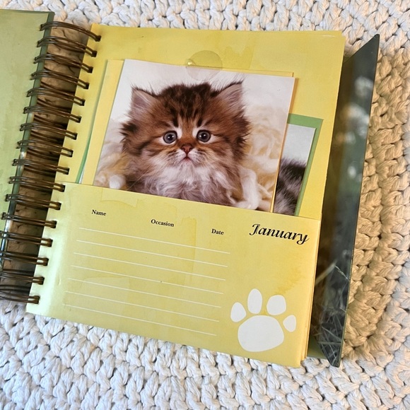 Organizer for Cat Lovers with Blank Greeting Cards - Picture 3 of 5